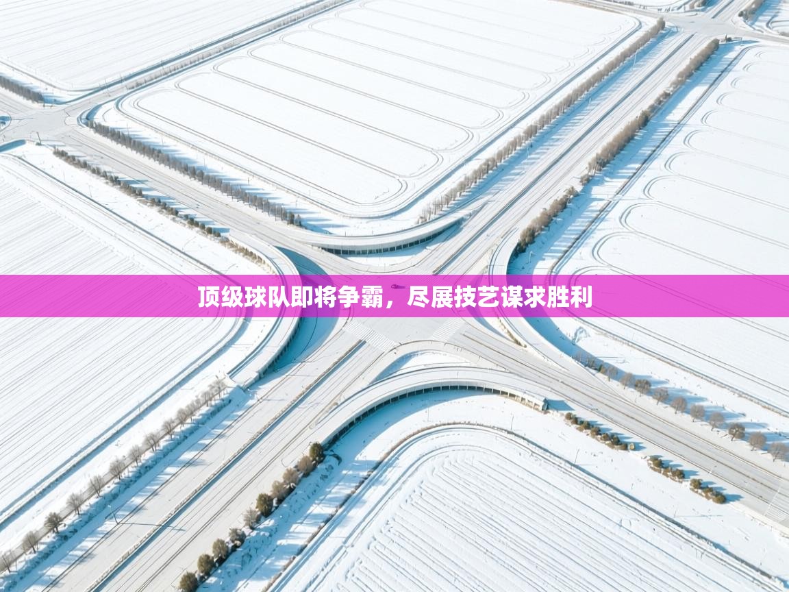 顶级球队即将争霸,尽展技艺谋求胜利 第1张