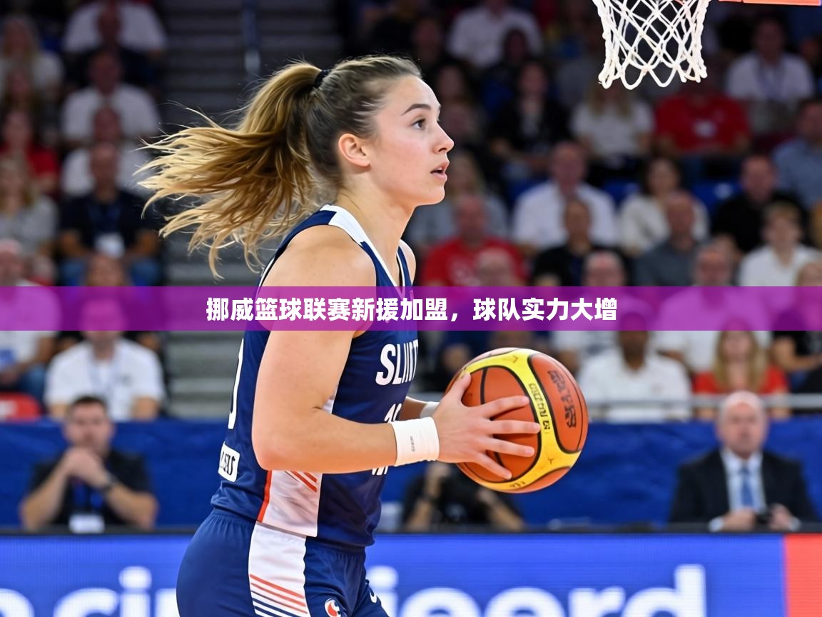 挪威篮球联赛新援加盟，球队实力大增  第1张